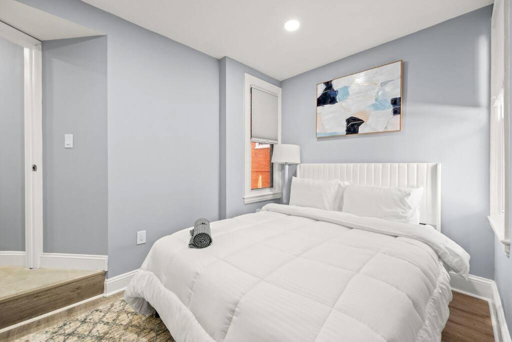 New! Cozy Apt In Center City! Philadelphia Eksteriør billede