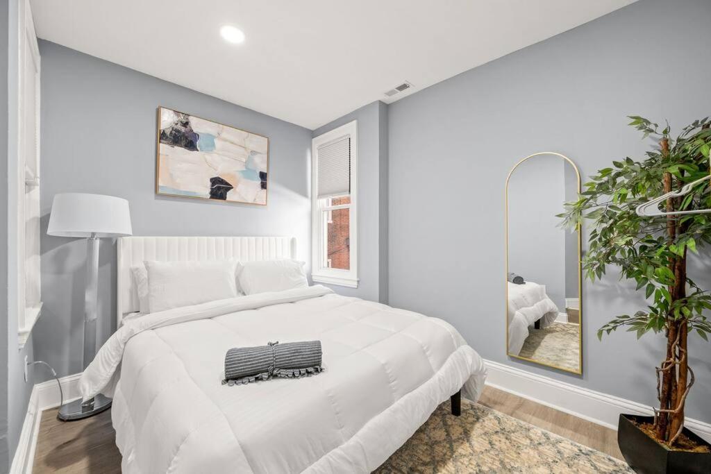 New! Cozy Apt In Center City! Philadelphia Eksteriør billede